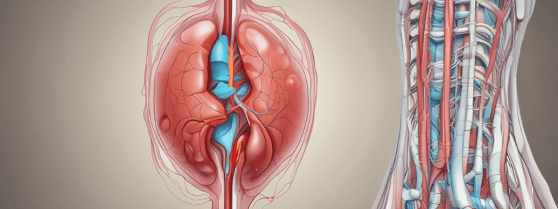 Unit 5: Urinary System Practice