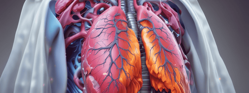 Acting in Emergency Situations: Hemopneumothorax