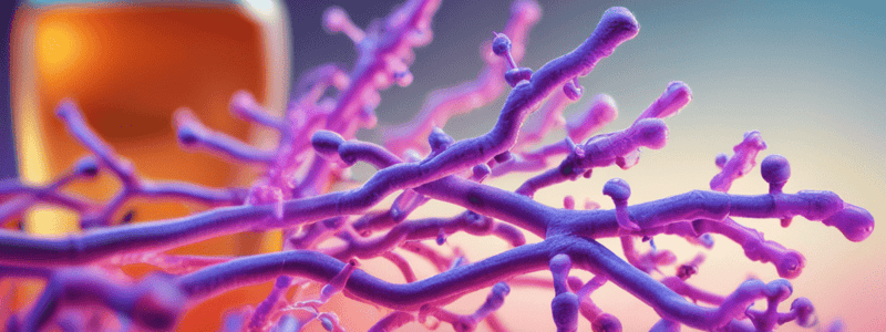 Rufinamide: Pharmacology Overview