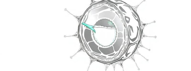 Osmosi e regolazione idrica nel corpo umano (Fisiologia 106)