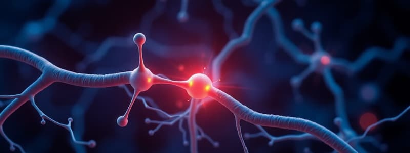 Neuroscience Chapter on Neurotransmitters