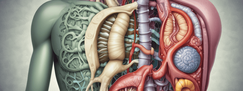 Anatomia. Free Quiz. Enfermedades del Sistema Digestivo.  Quiz 1