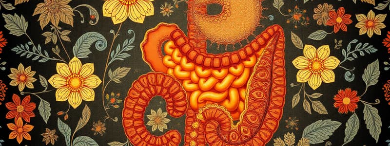 Gastrointestinal Tract Overview