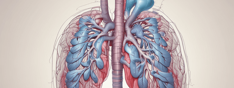 Cardiovascular and Respiratory System Overview