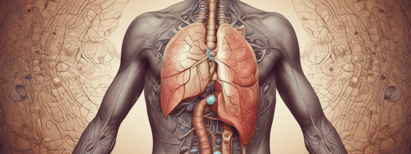 Breathing Mechanisms: Understanding Inspiration and Expiration