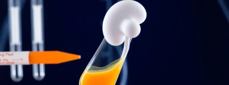 Urinalysis and Renal Function Tests