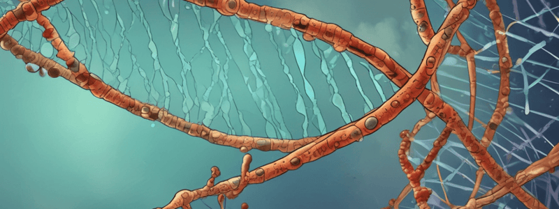 DNA Repair Mechanisms