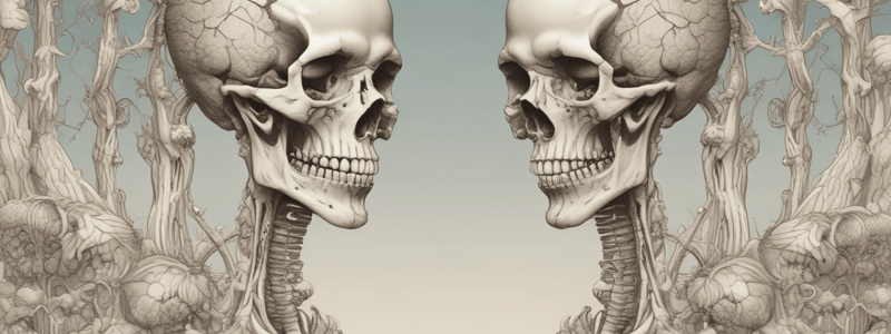 Bone Growth and Remodeling