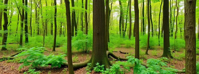 Ökosysteme: Wald und seine Faktoren