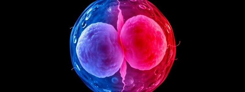 Mitosis and Meiosis Overview