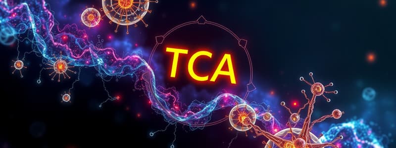 Biochemistry Lecture 19: TCA Cycle