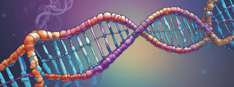 Watson and Crick's DNA Replication