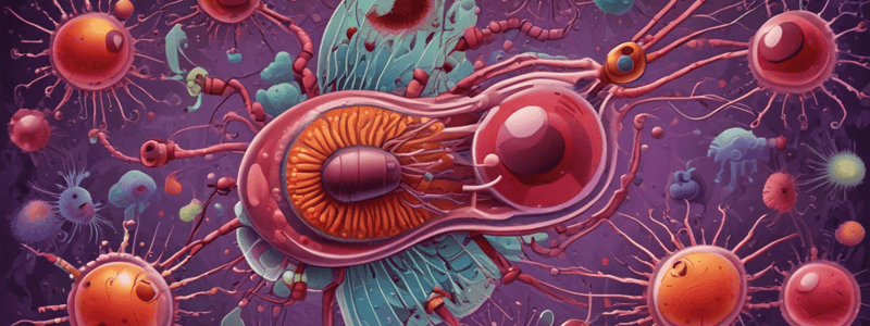 Morphology of Plasmodium Species