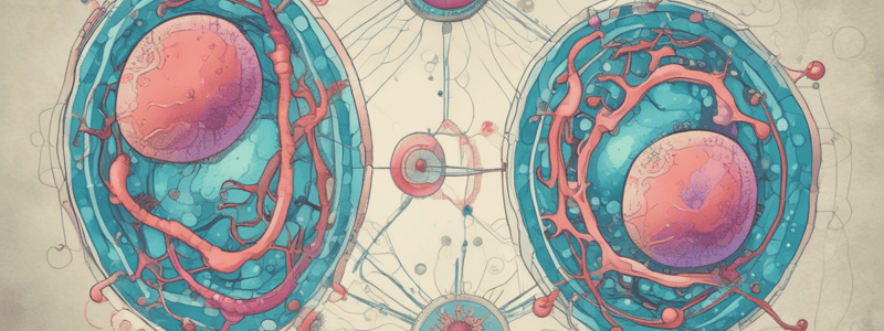 Cell Division and Multicellularity