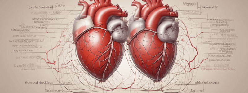 Cardiac Cycle and Blood Pressure