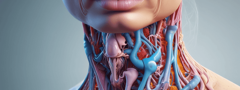 Respiratory System: Nose and Pharynx Functions