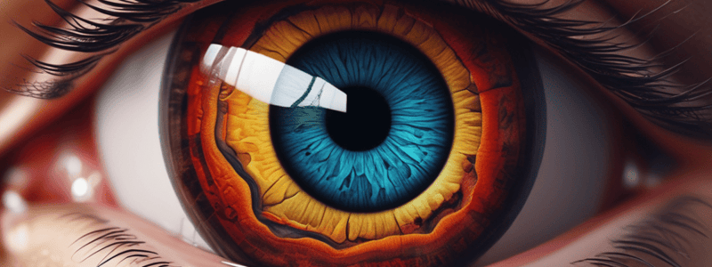 Eye Anatomy and Retinal Organization Quiz