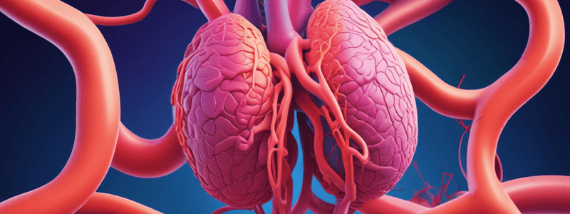 Respiratory Gases Transport Mechanisms