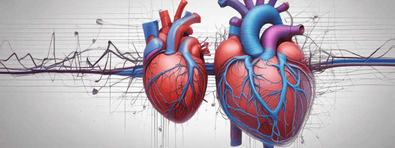 Conduction System of the Heart