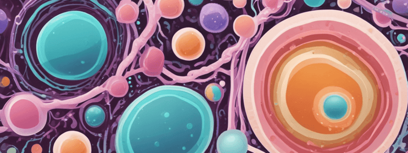 Características y especies del género Lactococcus