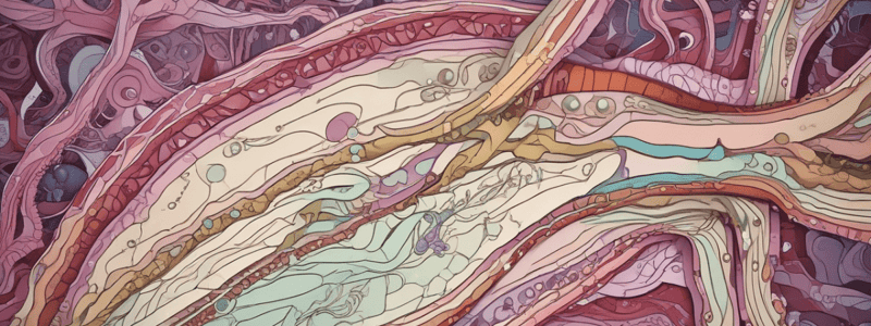 Histology and Embryology - Nervous Tissue