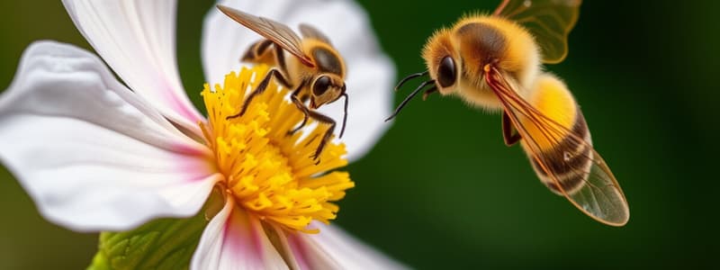 Basics of Pollination and Flower Adaptations