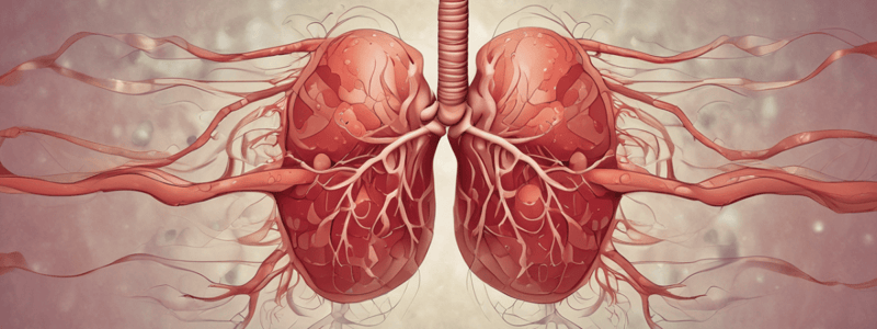 Respiratory System and Blood Gas Levels