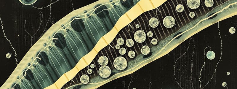 Module 2: Plasma Membrane & Proteins (HARD)