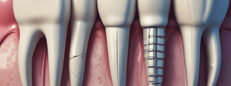 Dental Treatment of Tooth Fractures