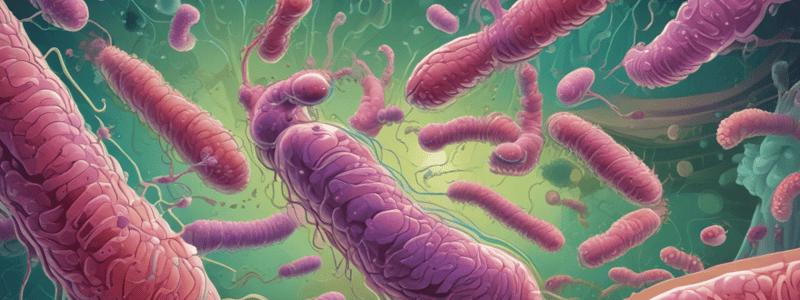 E. coli Infections and Characteristics