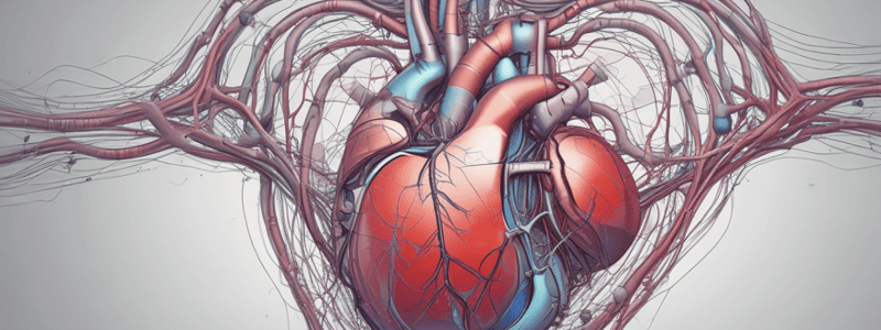 Initiation of Heartbeat: Cardiac Pacemaker and Electrical Events