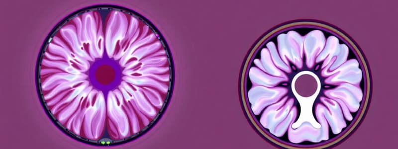 Multislice and Single-slice CT Quiz