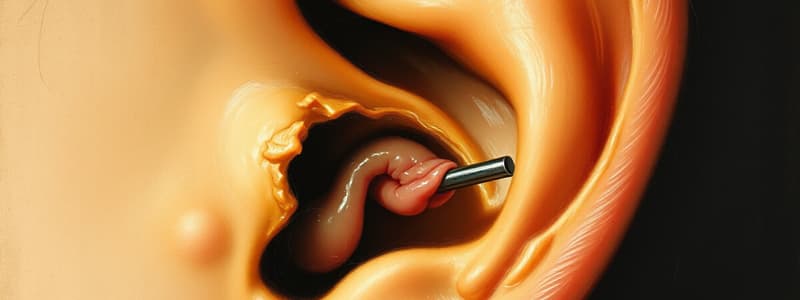 Embryology of the Ear and Malformations