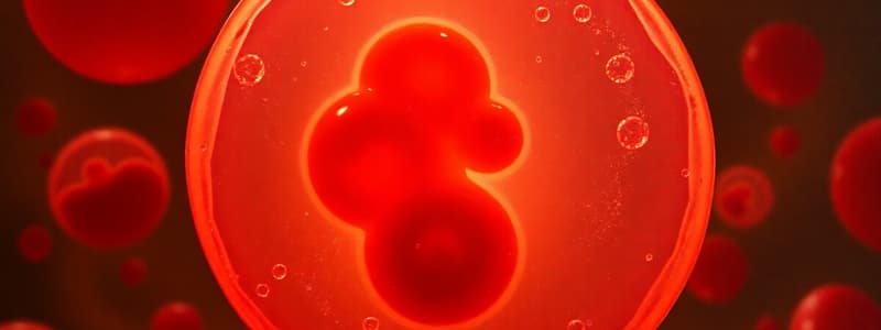 Erythrocyte Morphology and Hemoglobin