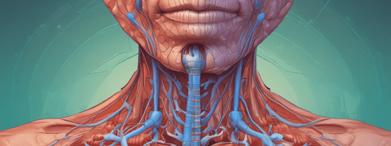 The Urinary System