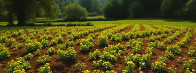 Soil Texture and Its Importance