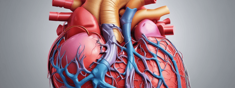 Anatomy of the Heart: Left Atrium and Left Ventricle Features