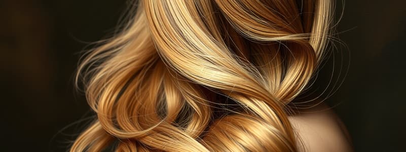 Permanent Haircolor Overview