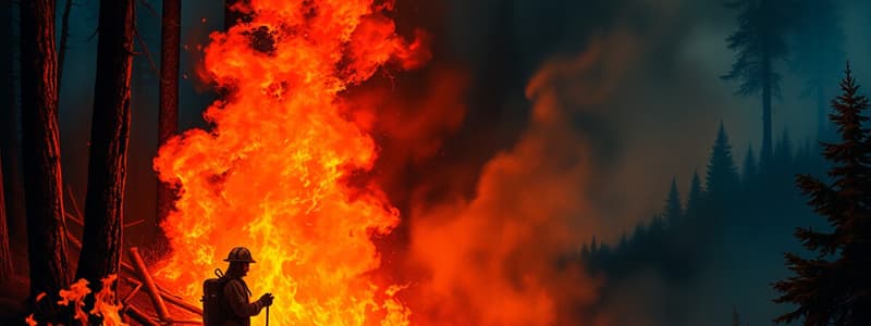 Herramientas en el Servicio de Bomberos Forestales