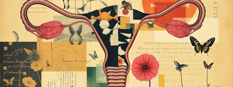 Reproductive System Overview and Mechanisms