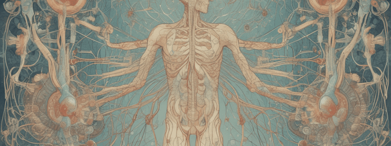 Muscarinic Agonists and the Parasympathetic Nervous System - Hernandez Block 1