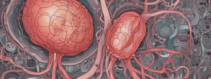 Physiology of the Urinary System Quiz