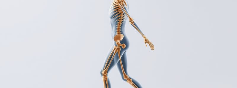 Movement Science Week 3 - Kinesiology Principles and Mechanics of Human Movement