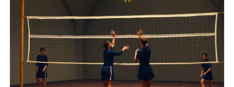 Regles de la Xarxa de Voleibol