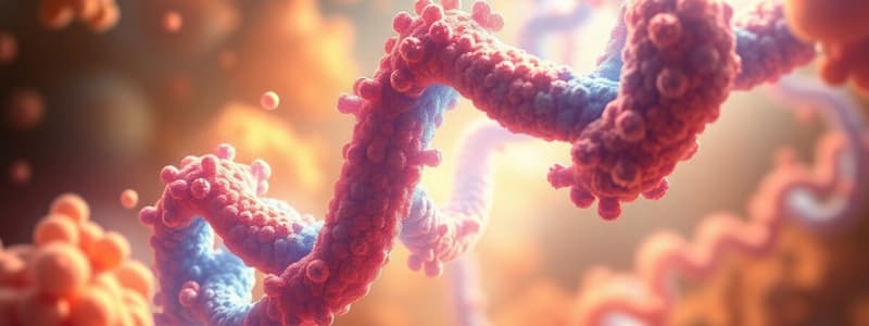 Protein Biosynthesis: Stages of Translation