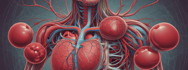 Circulatory System Basics