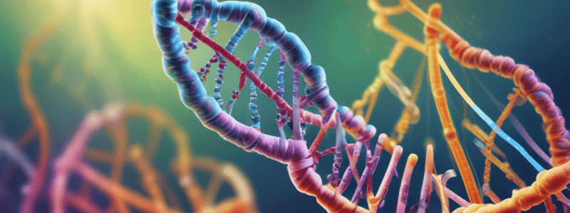 Transcription of mRNA: Initiation, Elongation, Termination