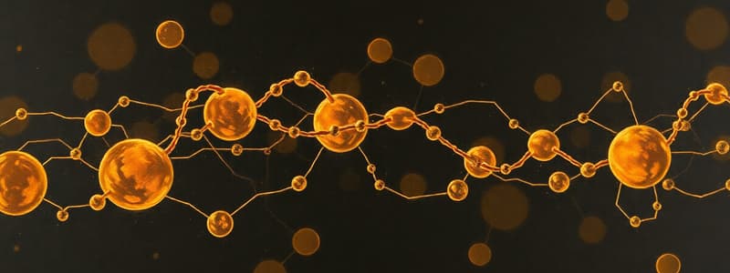 Lipoprotein Metabolism Overview