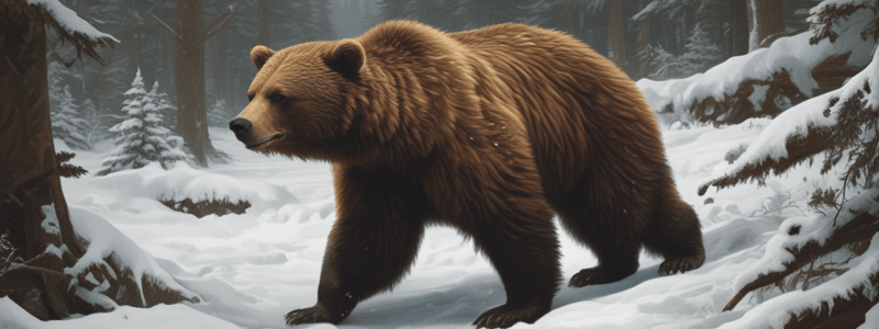 Bear Behavior Quiz