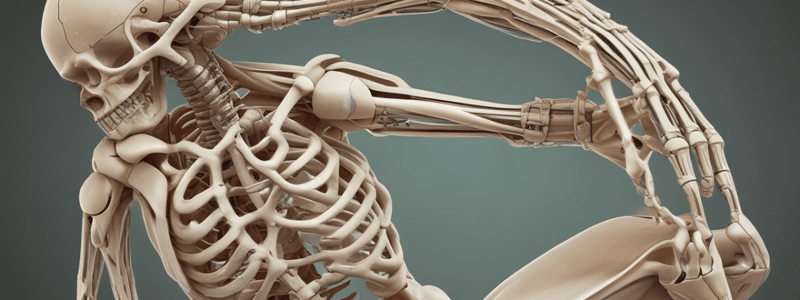 Anatomy of Synovial Joints